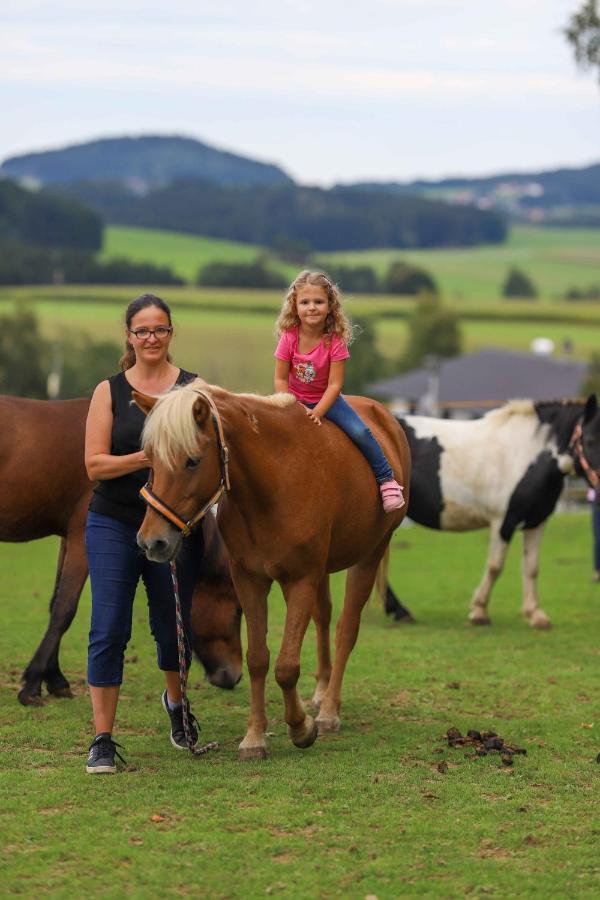 Appartamento Aignerhof Kirchberg  Esterno foto